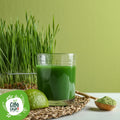 Erba Di Grano In Polvere Cruda Bio 4