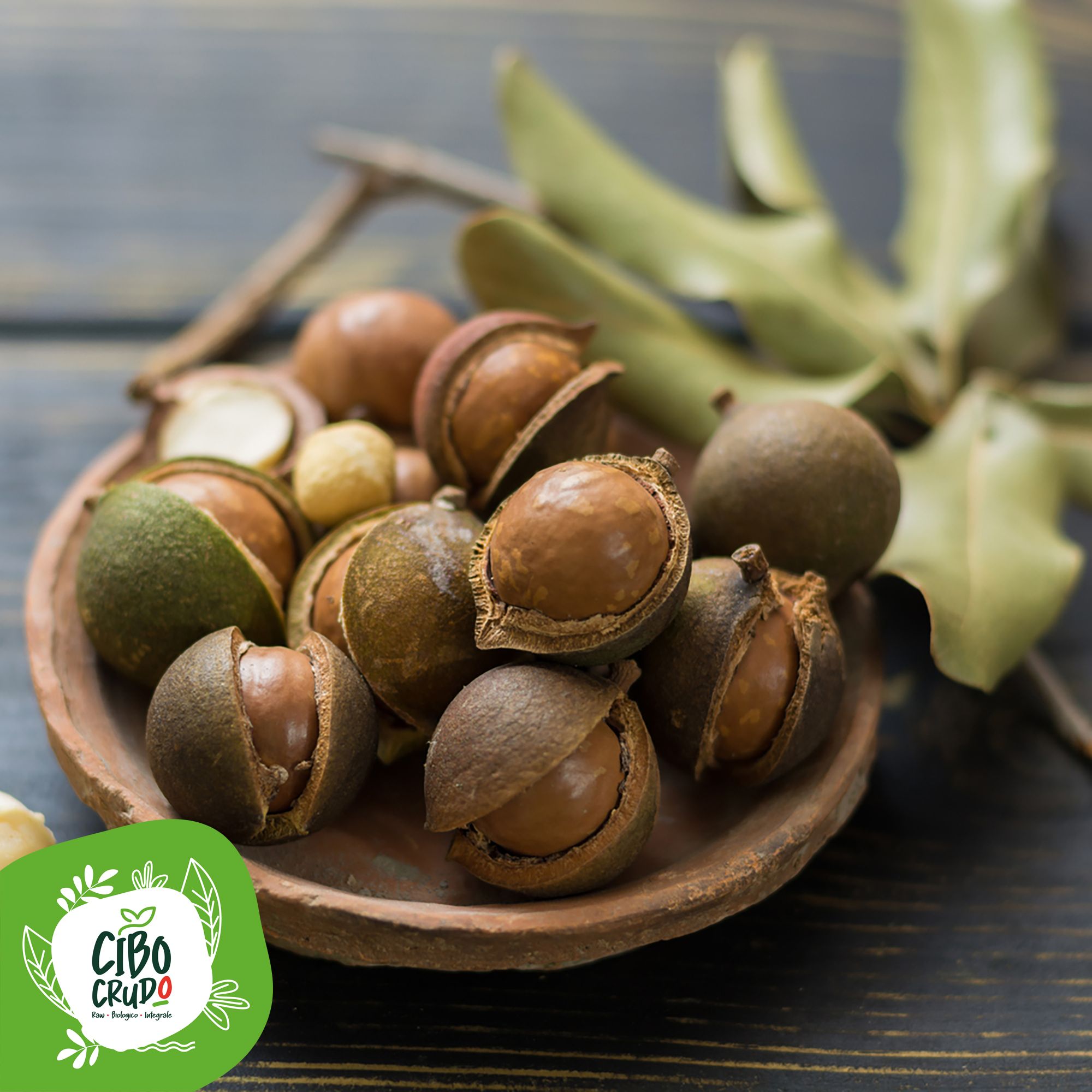 Noci Di Macadamia Crude Bio 3