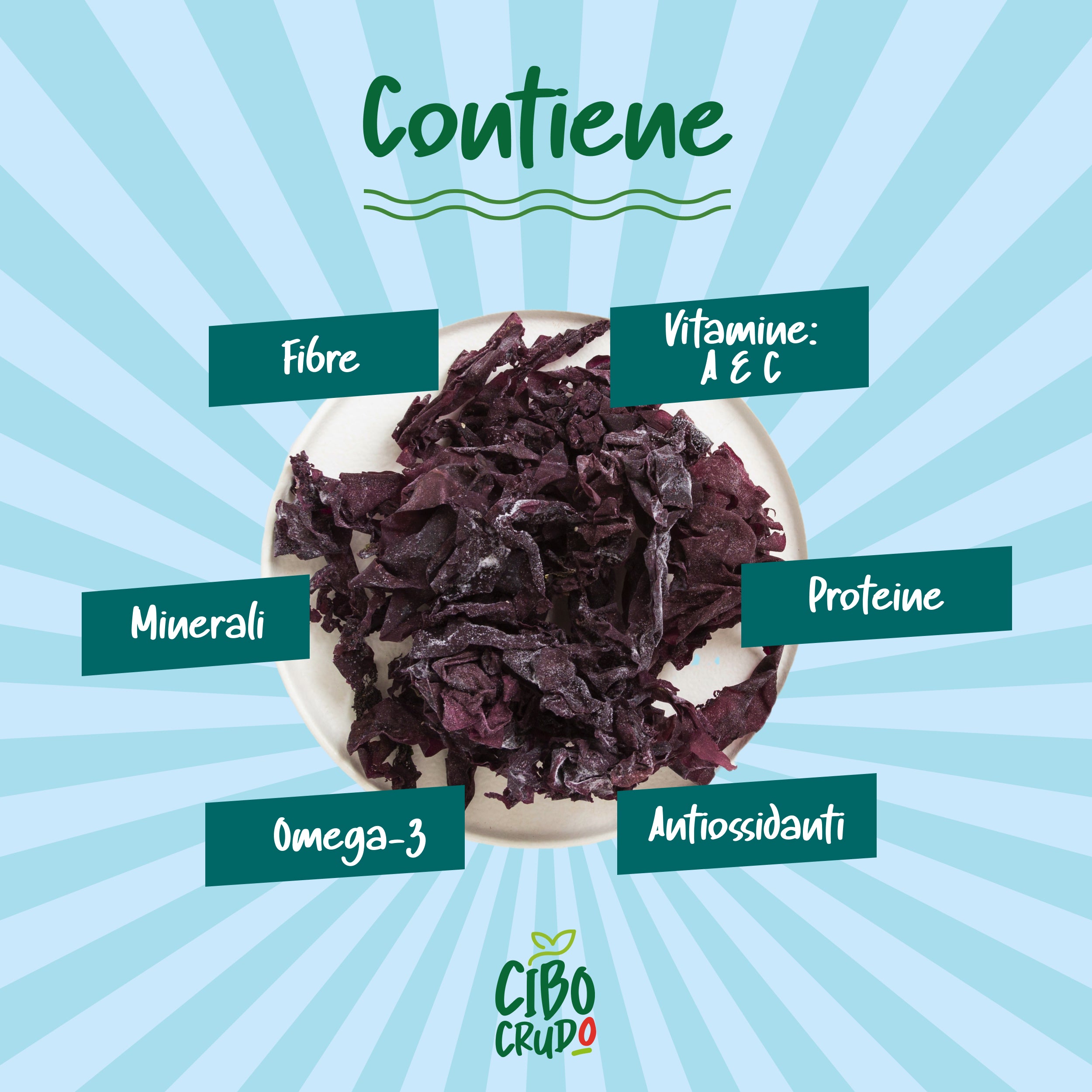 Alghe Dulse Crude Essiccate Al Sole Bio