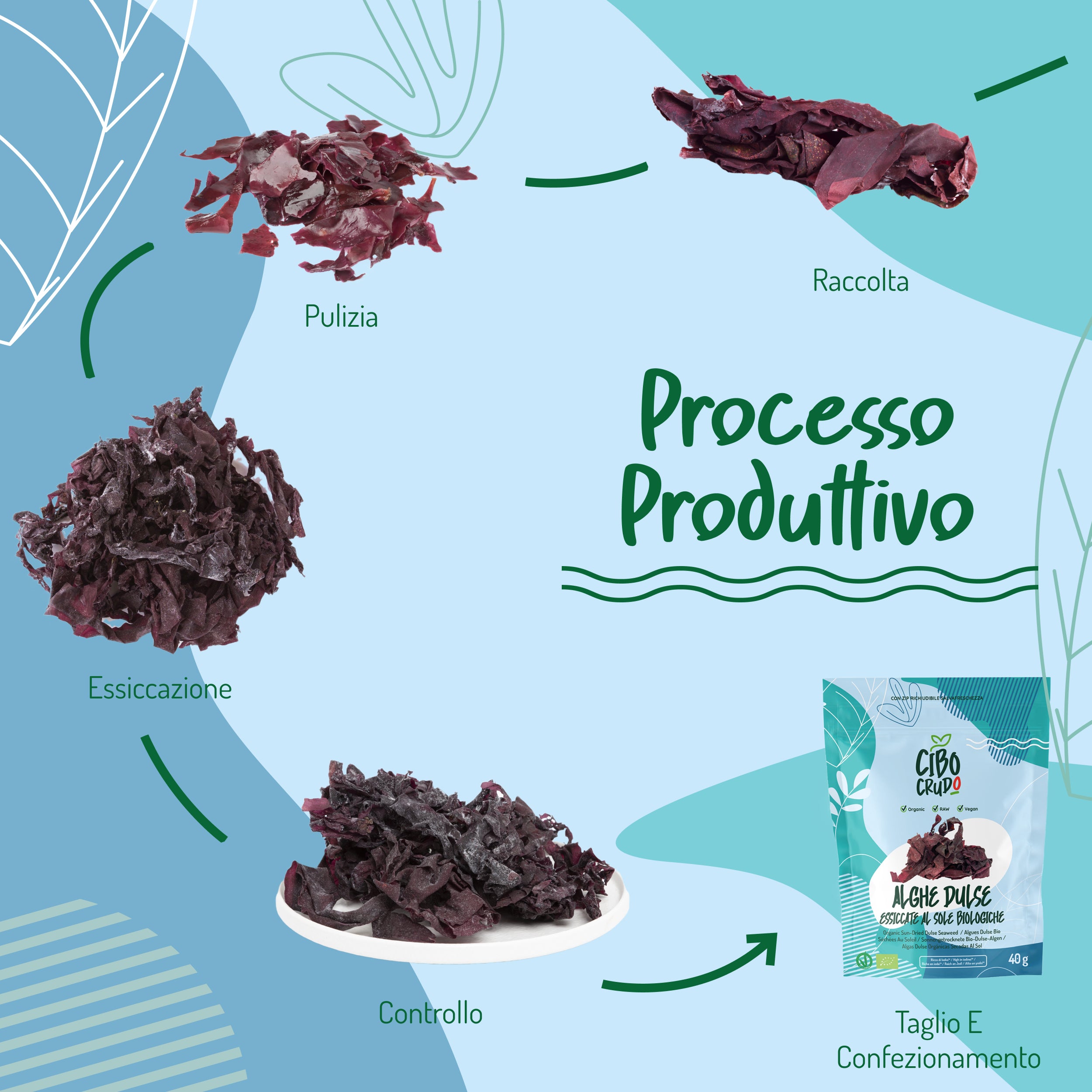 Alghe Dulse Crude Essiccate Al Sole Bio