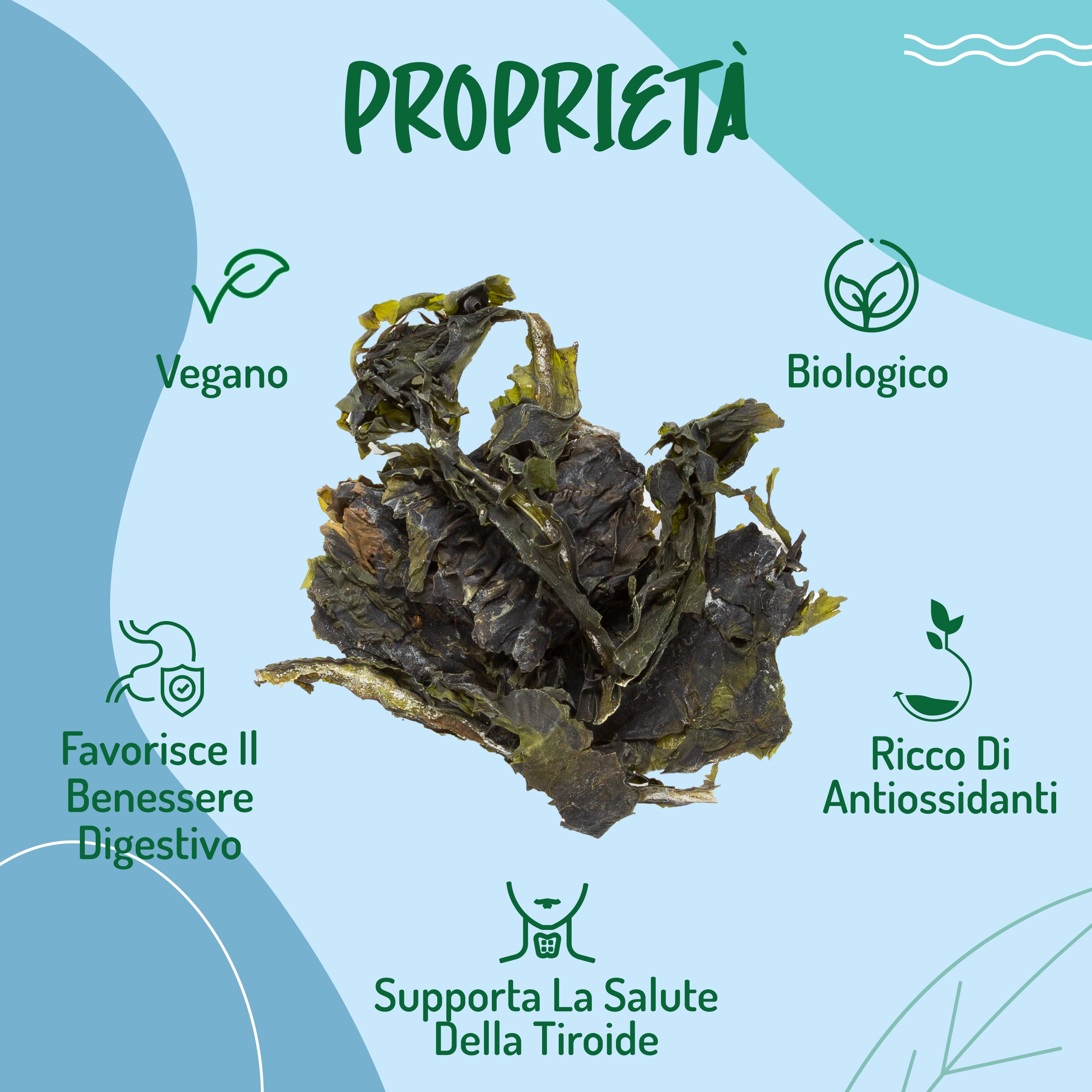 Alghe Wakame Crude Essiccate Al Sole Bio