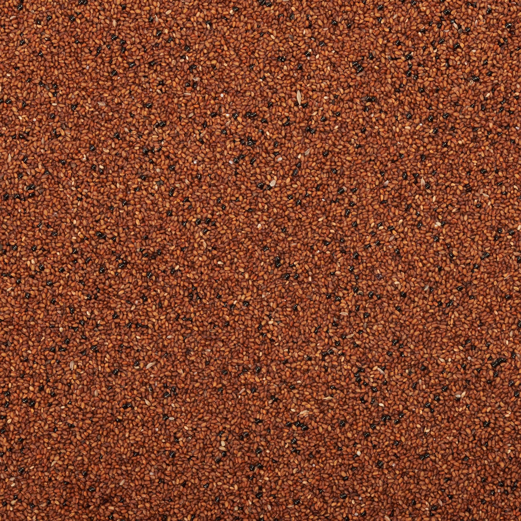 Teff Integrale Crudo Bio 3